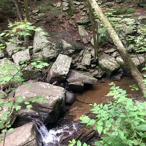 Meet your Posher, Caden